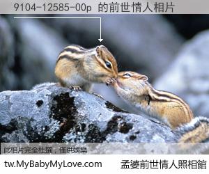 9104-12585-00p 的前世情人