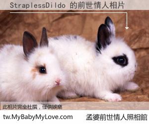StraplessDildo 的前世情人