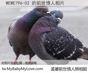 WEWE796-02 的前世情人