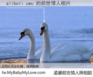 aliboli uwu 的前世情人