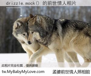 drizzle.mock() 的前世情人