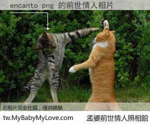 encanto png 的前世情人