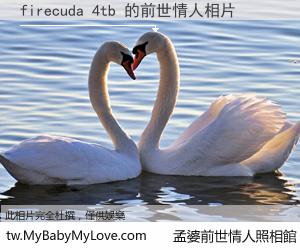 firecuda 4tb 的前世情人