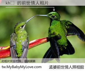 khế 的前世情人