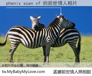 phenix scan vf 的前世情人