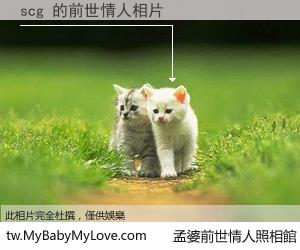 scg 的前世情人