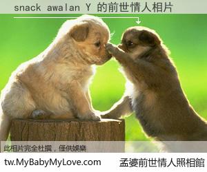 snack awalan Y 的前世情人
