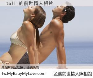 tall 的前世情人
