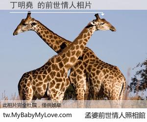 丁明堯 的前世情人