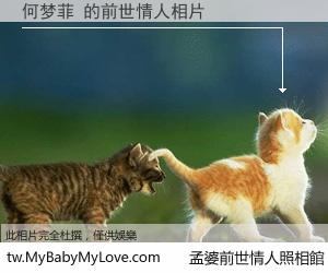 何梦菲 的前世情人