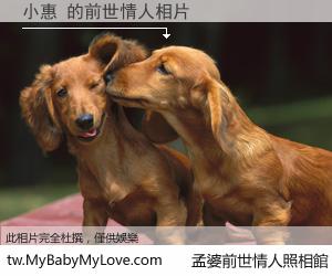小惠 的前世情人