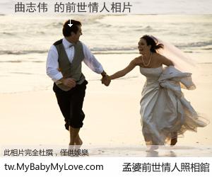 曲志伟 的前世情人