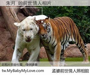 朱月 的前世情人