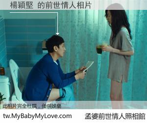 楊穎堅 的前世情人