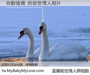 自動值機 的前世情人