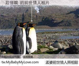 莊憶嫻 的前世情人