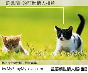 許鳳蘭 的前世情人