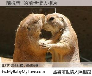 陳楓哲 的前世情人