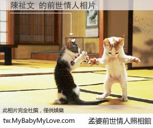 陳祉文 的前世情人