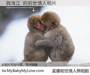 魏海江 的前世情人