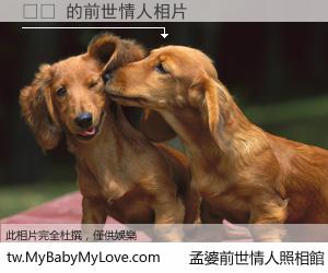 얃오 的前世情人