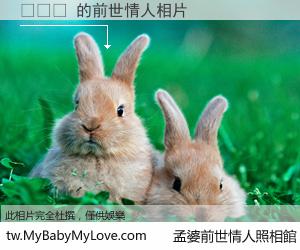 최한별 的前世情人