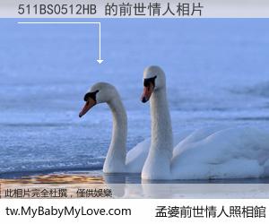 511BS0512HB 的前世情人