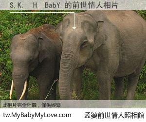 S,K.  H  BabY 的前世情人