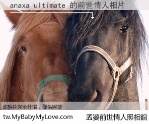 anaxa ultimate 的前世情人