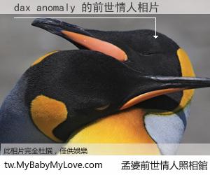 dax anomaly 的前世情人
