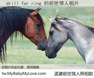 drill for ring 的前世情人