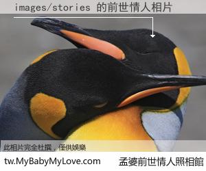 images/stories 的前世情人