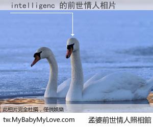 intelligenc 的前世情人