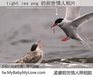 light ies png 的前世情人