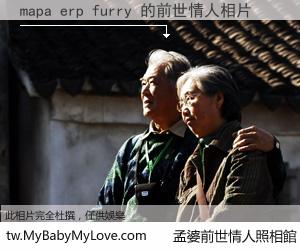 mapa erp furry 的前世情人