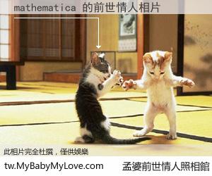 mathematica 的前世情人
