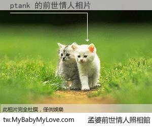 ptank 的前世情人