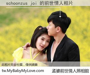 schoonzus joi 的前世情人
