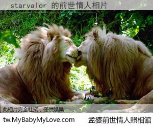starvalor 的前世情人