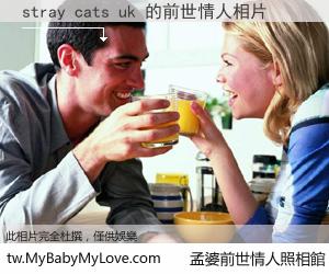 stray cats uk 的前世情人