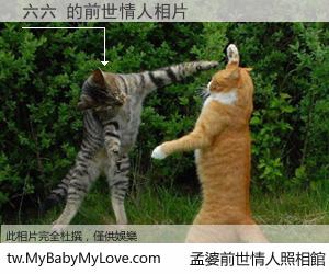 六六 的前世情人