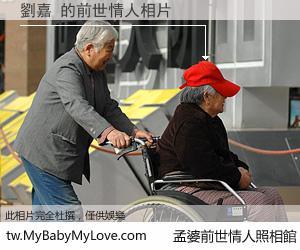 劉嘉 的前世情人
