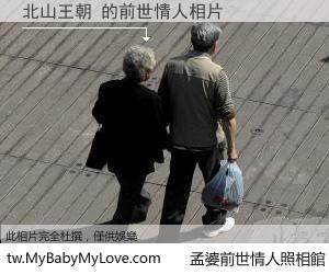 北山王朝 的前世情人