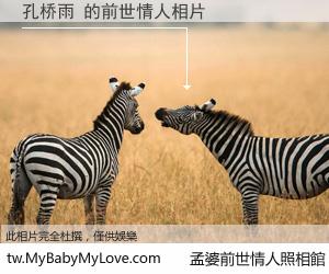 孔桥雨 的前世情人