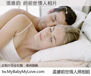 張雅鈞 的前世情人