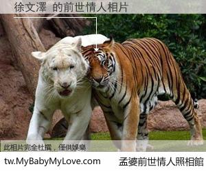 徐文澤 的前世情人