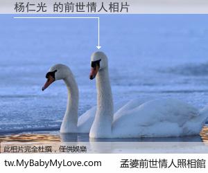 杨仁光 的前世情人