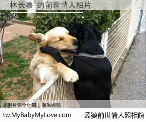 林长嘉 的前世情人