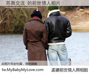 苏舞交流 的前世情人