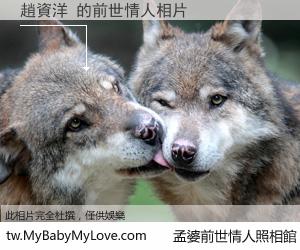 趙資洋 的前世情人